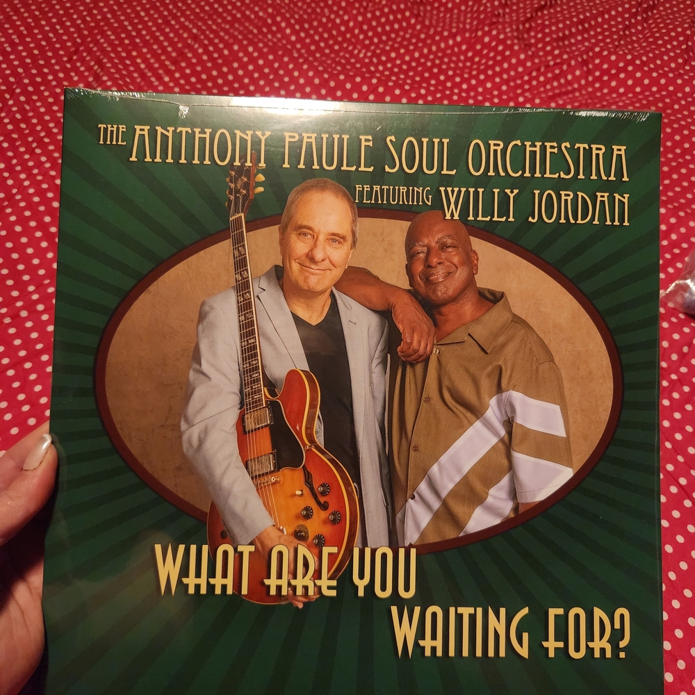 Vinyl Record - Green